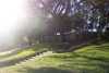 Grassy Knoll