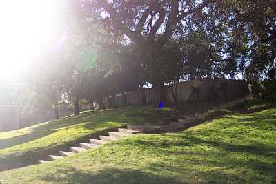 Grassy Knoll